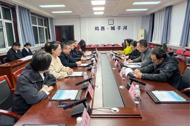 肖董事長率隊赴雞西市城子河區(qū)考察，探尋文旅項目合作機遇